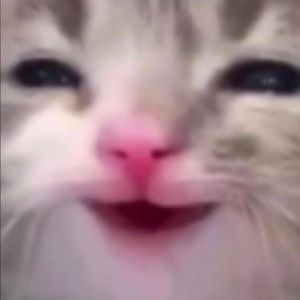 Meet your Posher, Isaac